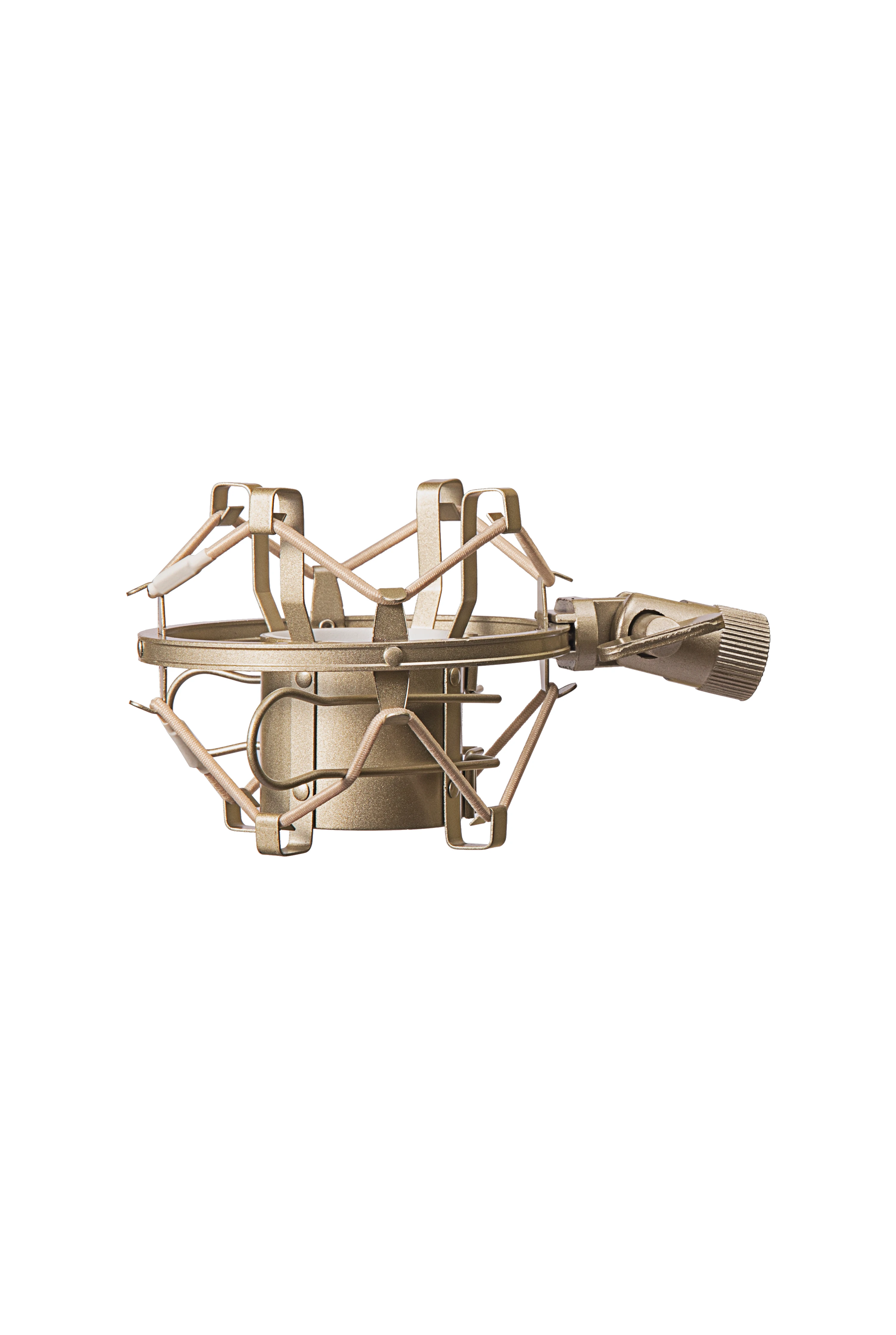 Close-up of RS T5's gold-plated adjustment knobs and suspension system